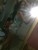 Caren